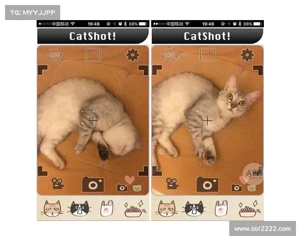 猫老爷攻略秘籍:虏获高冷喵星人的心 猫老爷攻略秘籍:虏获高冷喵星人的心